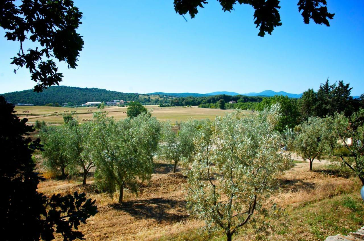 Agriturismo San Lino-Gilberto Massa Marittima Exterior foto